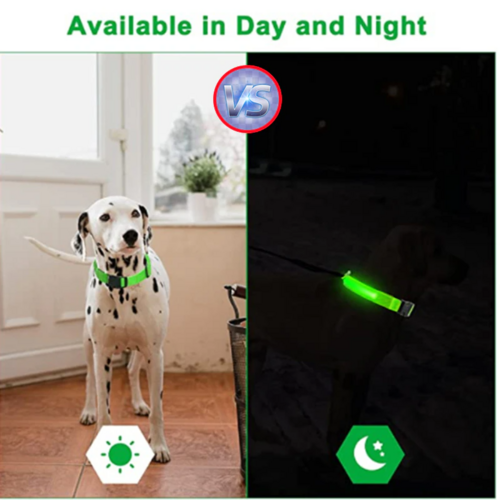 Collar LED Ajustable para Perros Luz Intermitente Brillante Seguridad para Mascotas