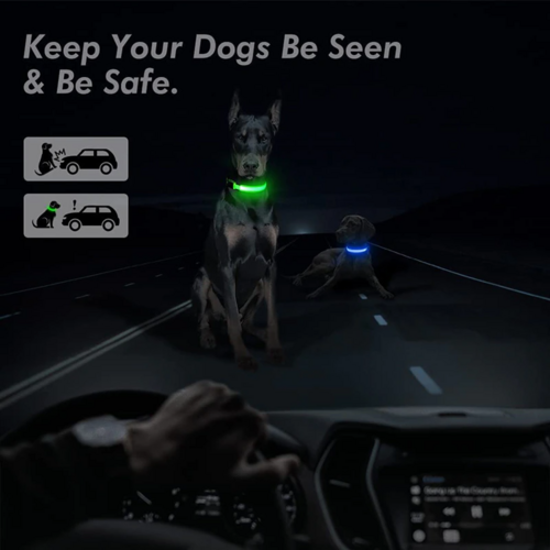Collar LED Ajustable para Perros Luz Intermitente Brillante Seguridad para Mascotas