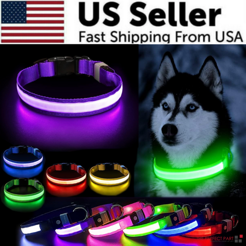 Collar LED Ajustable para Perros Luz Intermitente Brillante Seguridad para Mascotas