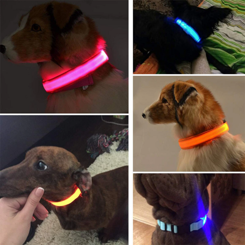 Collar LED Ajustable para Perros Luz Intermitente Brillante Seguridad para Mascotas