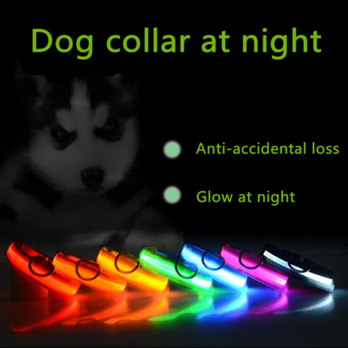 Collar LED Ajustable para Perros Luz Intermitente Brillante Seguridad para Mascotas