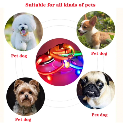 Collar LED Ajustable para Perros Luz Intermitente Brillante Seguridad para Mascotas